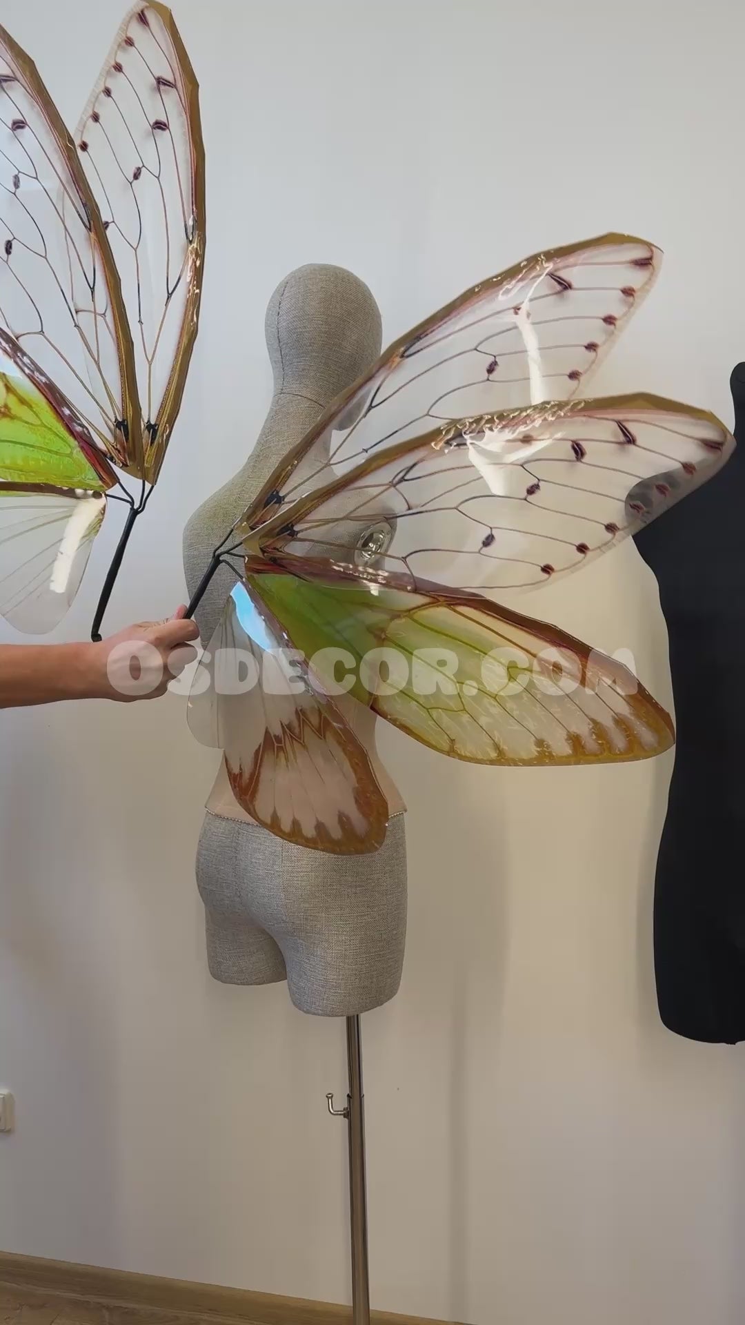 Green Cicada Fairy Wings
