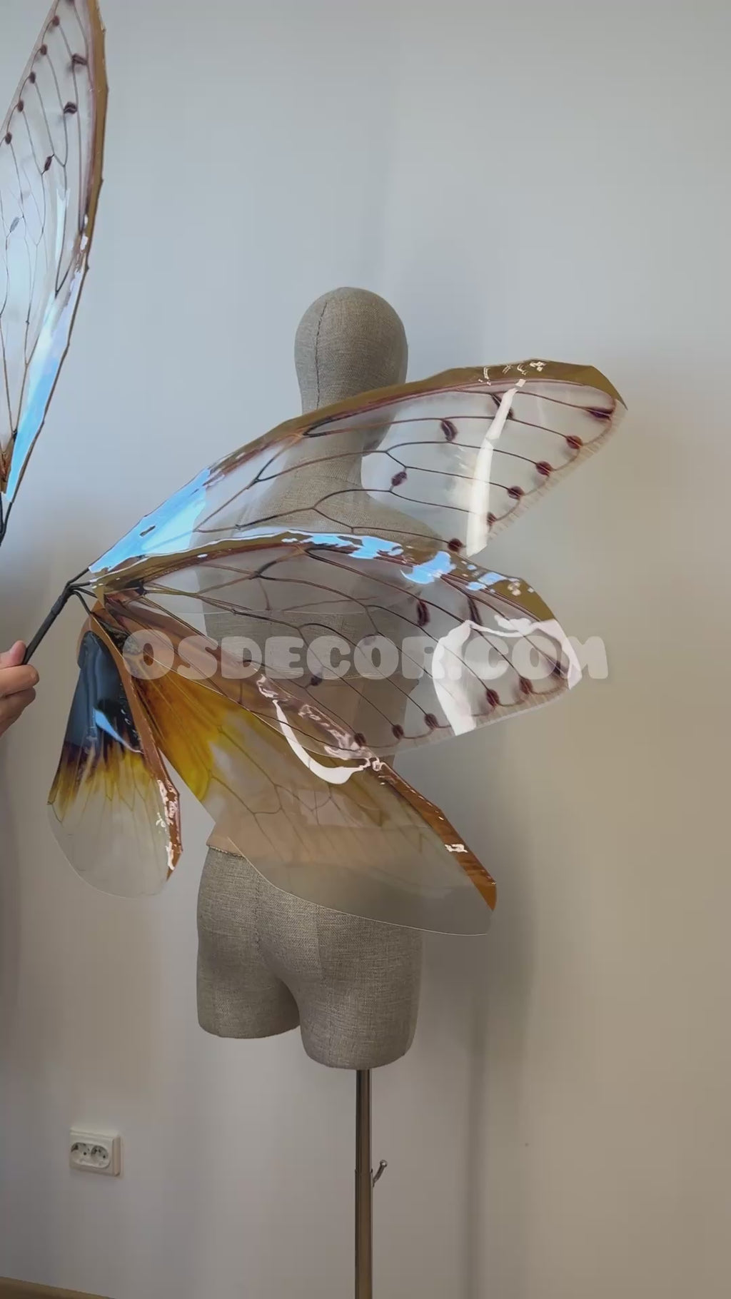 Brown Cicada Fairy Wings