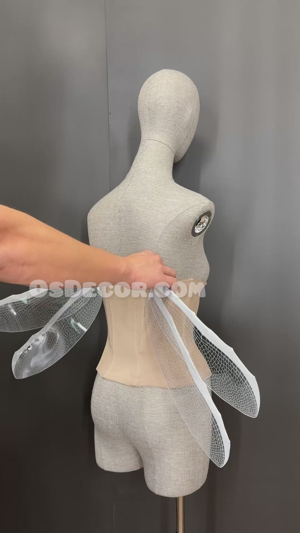 White Transparent Fairy Elf Dragonfly Wings