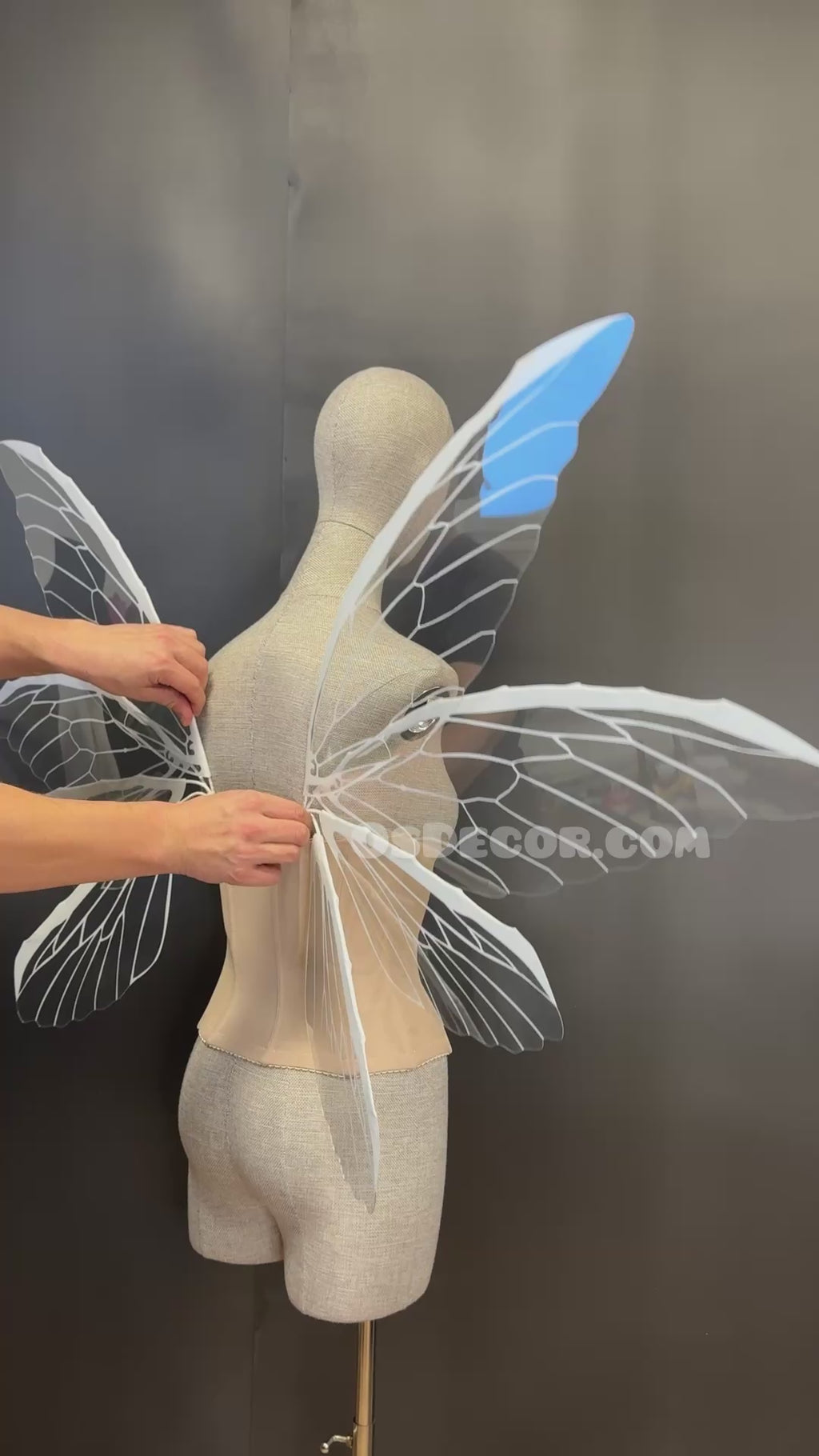 White Transparent Butterfly Fairy Wings