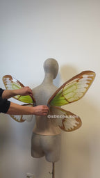 Green Brown Cicada Fairy Wings