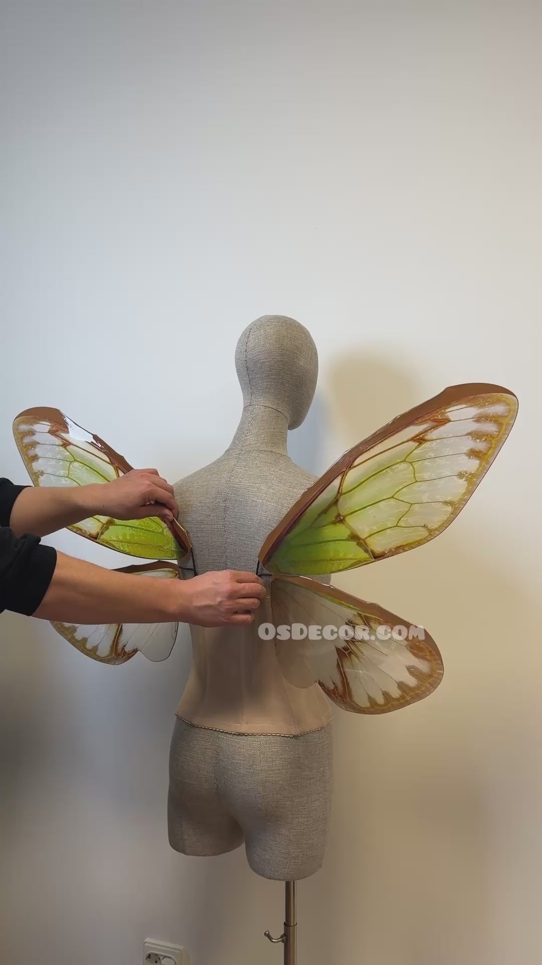 Green Brown Cicada Fairy Wings