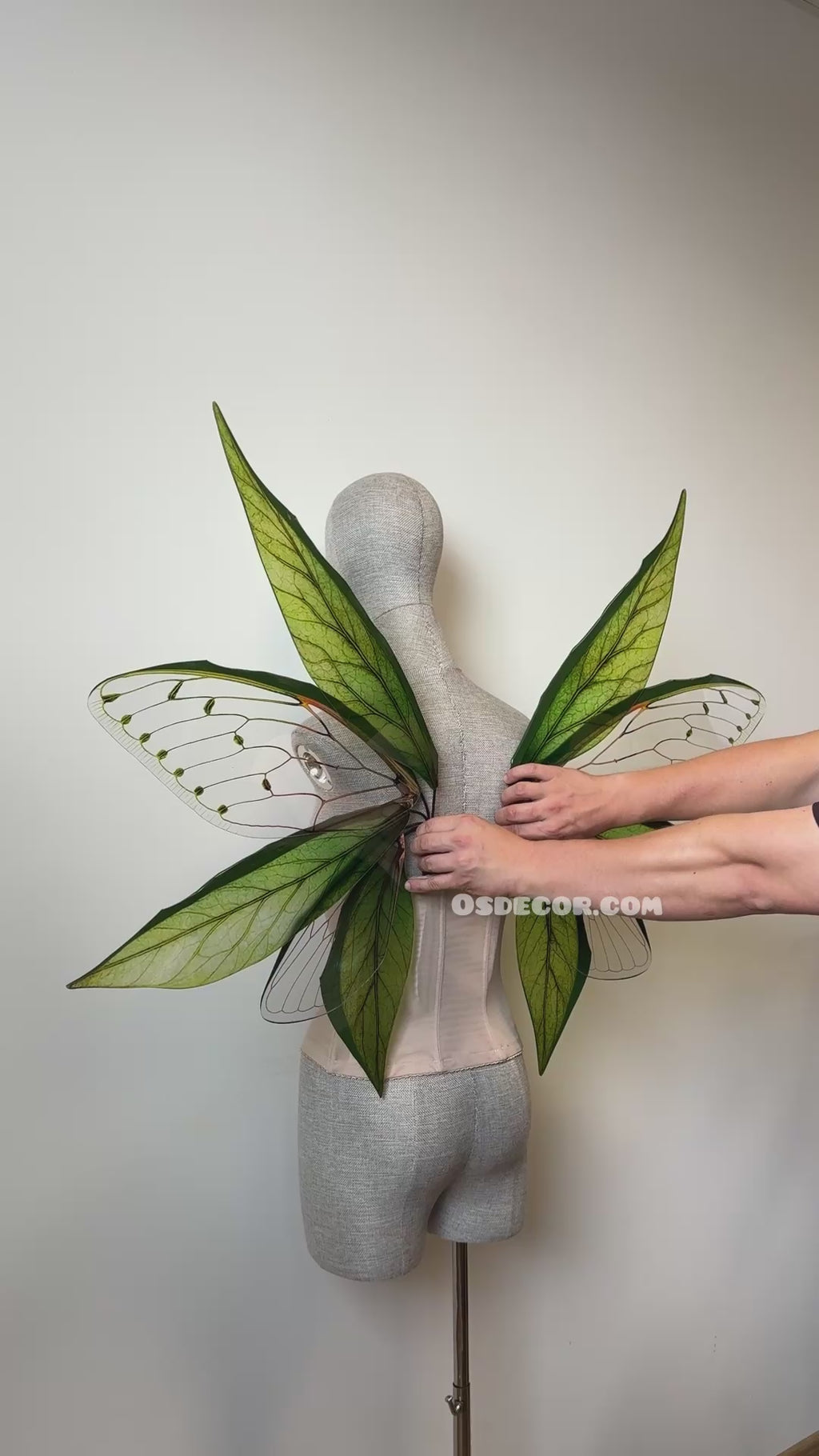Green Enchanted Forest Fairy Wings
