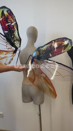 Golden Bronze Beetle Wings